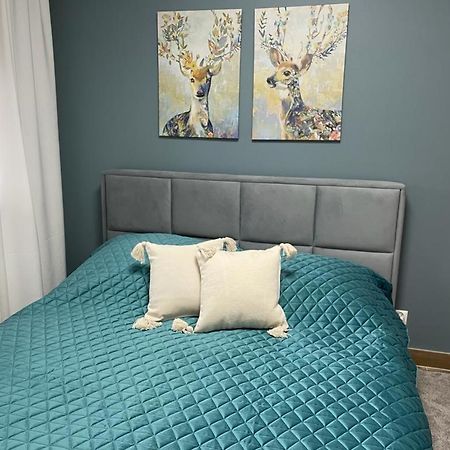Apartament Sosnowy Zakatek Gliwice Exteriör bild