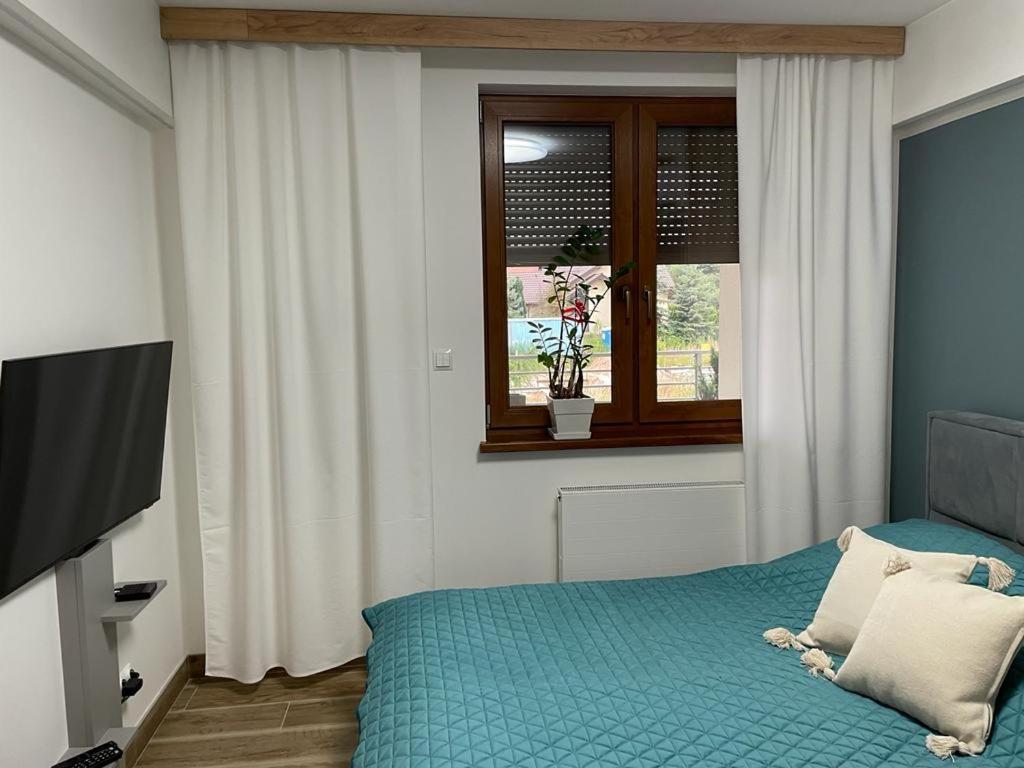 Apartament Sosnowy Zakatek Gliwice Exteriör bild