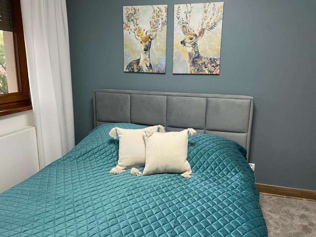 Apartament Sosnowy Zakatek Gliwice Exteriör bild